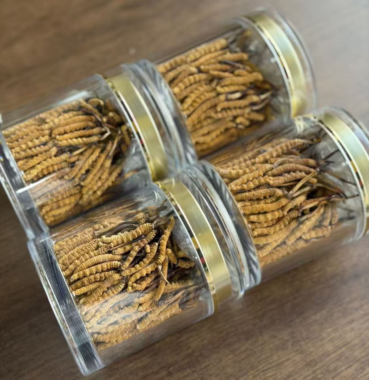 Freeze-Dried Cultivated Cordyceps Dong Chong Xia Cao 1g Pack 3-4 Pieces Culinary Herbal Tonic specifications