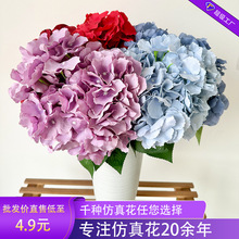 ��Ʒ���滨��@5��󻨰꽑��DIY�������ٻ���c·���ֹ��������l