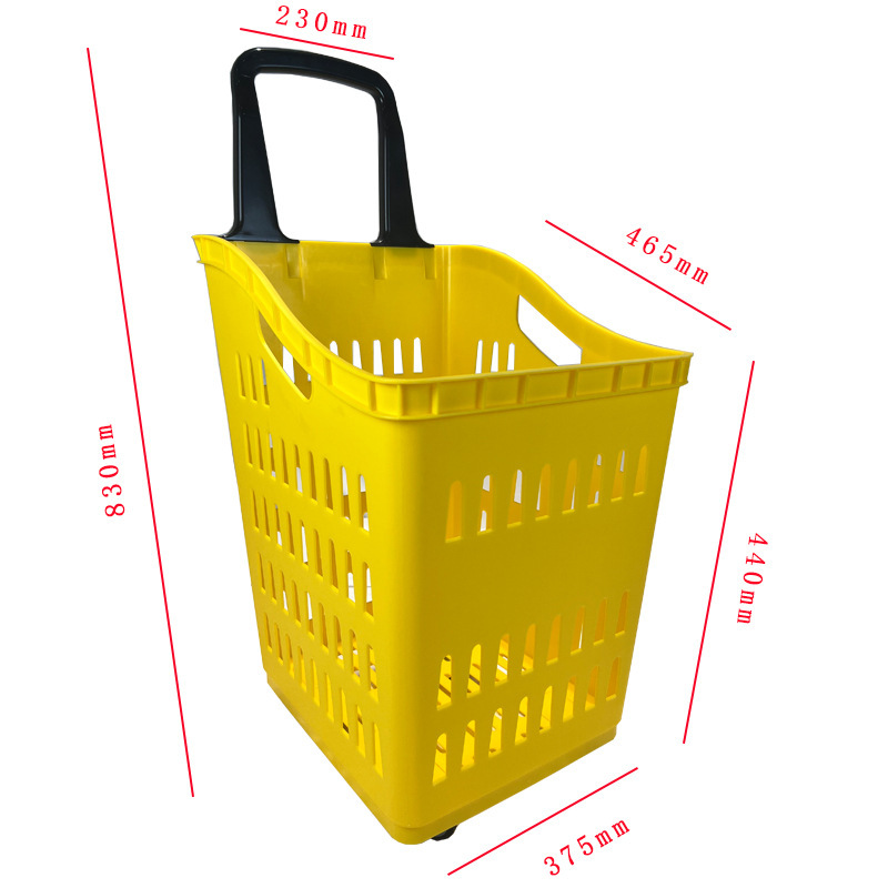 2023 해외 한정판 레몬옐로우 60L