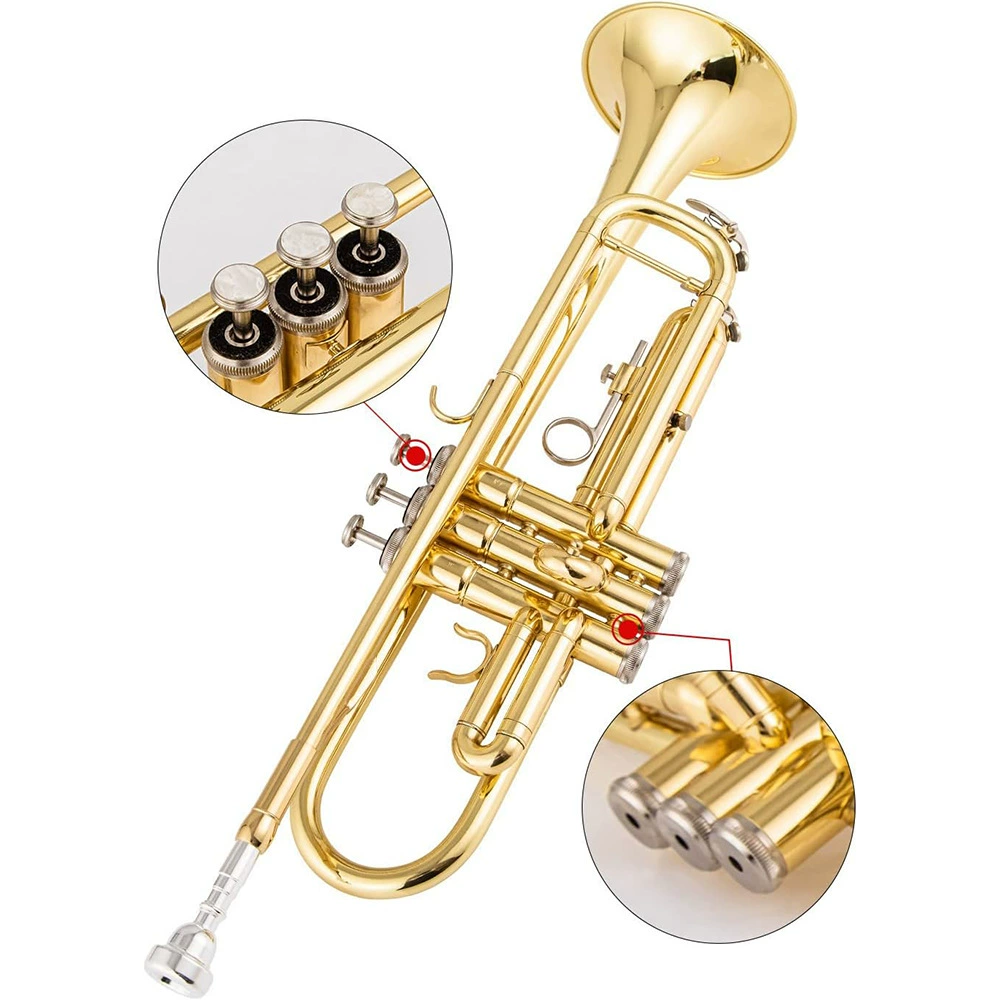 Small silver musical instruments for elementary school students, for beginners