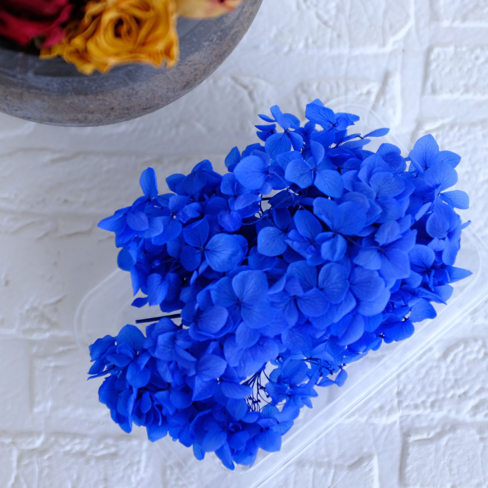 bleu royal / 5G en boîte