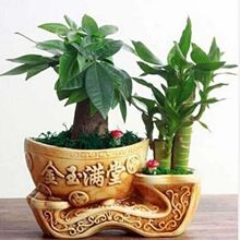 �lؔ�主�F�����մ���lؔ�����Ժɻ����k���҃��ļ�����Gֲ����
