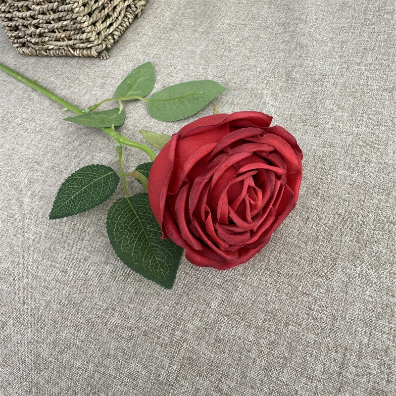 Single branch French Rose Red