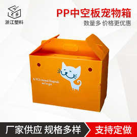 浙江塑料厂家供应PP中空板宠物箱产品质量可靠
