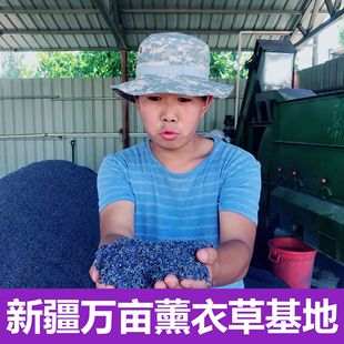 Lavender dried flowers wholesale bulk clean new goods lavender Xinjiang 65 sachet filled with flower grains 1kg