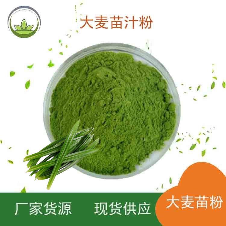 厂家直供 大麦苗粉  烘焙糕点食品原料大麦苗粉批发 可提供样品