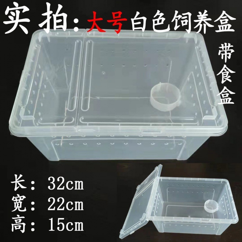 爬虫類、白翡翠カタツムリ、ホーンカエル、クモ、カマキリ、ヤドカリ、昆虫、特大、中型、小型、ミニ高透明飼育箱|undefined