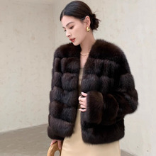 pƤŮ_˹ůVIƤ2025¿̿