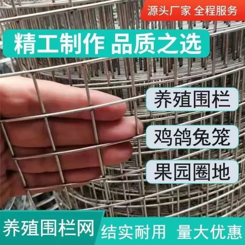 热镀锌铁丝网围栏网养殖网钢丝网拦鸡网建筑网防护网铁网格玉米网