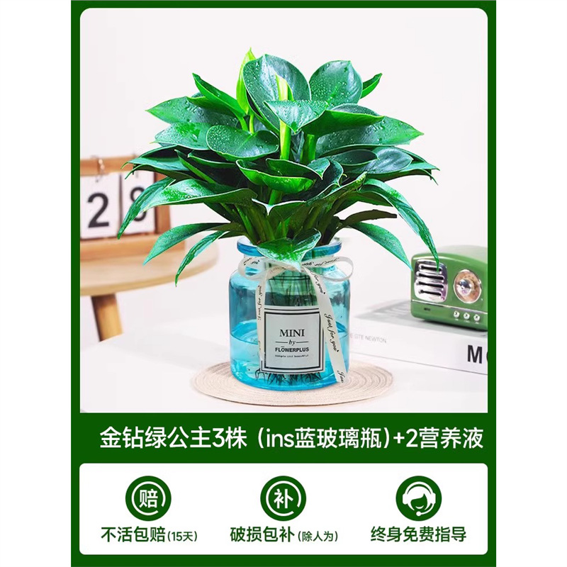 골든 다이아몬드 3개(파란색 유리병) + 크리스탈 머드 + 영양액 2개