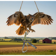 �羳�¿�Ғ��b���B؈�^�����^���Ҿ�ͥԺ���@�b�Ʒ�����B