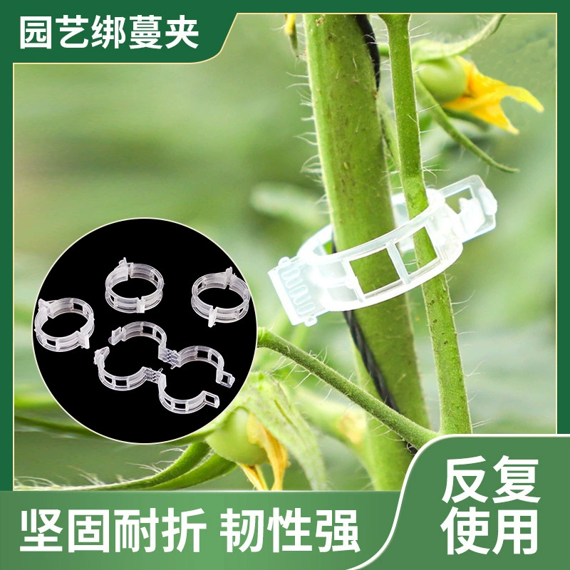 Зажимы для фиксации корней и стеблей растений для садовых фруктов и овощей, зажимы для поддержки веток и рассады.