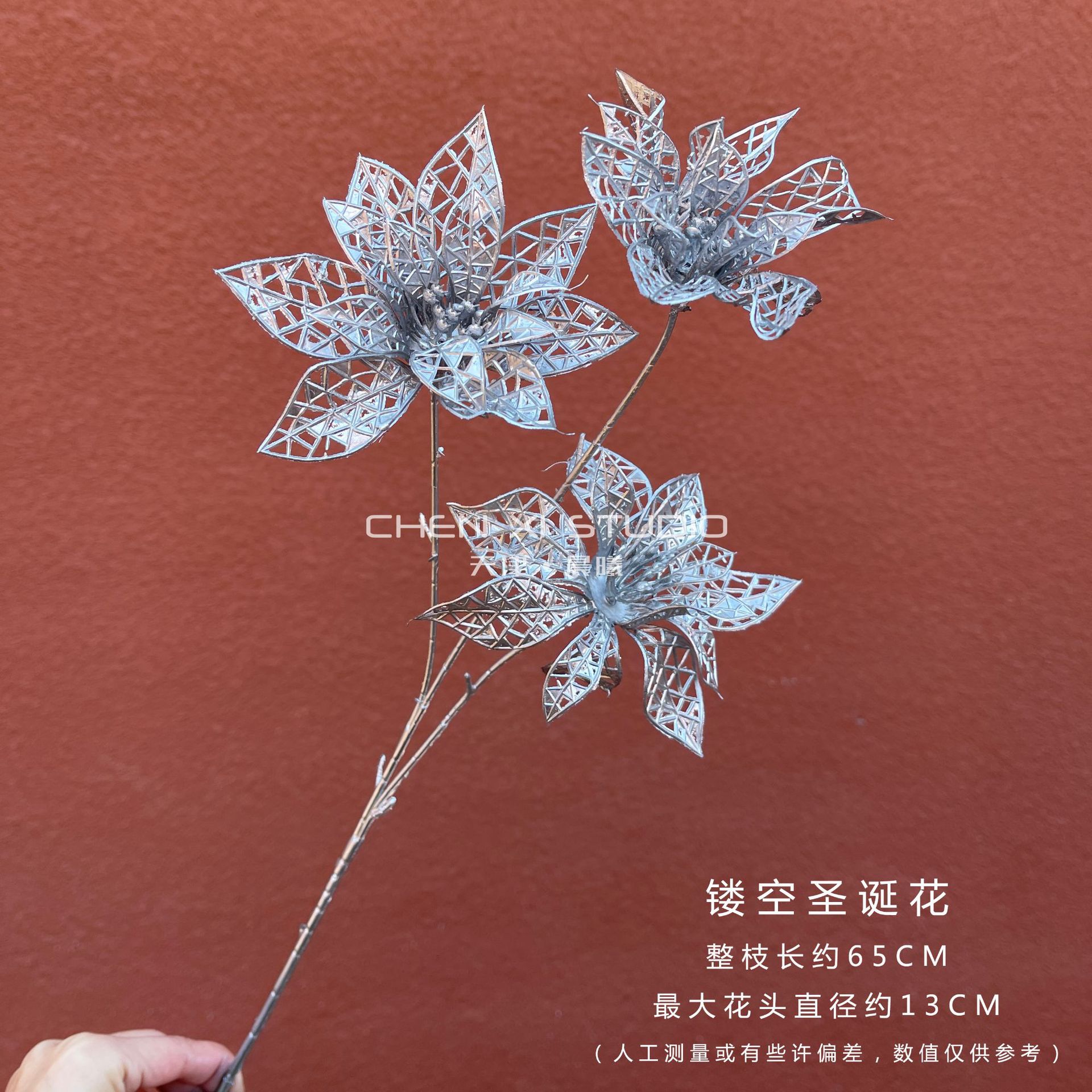 속이 빈 크리스마스 꽃