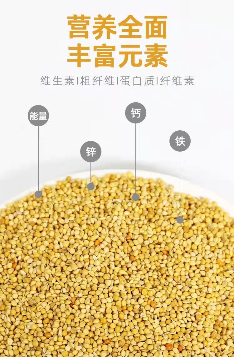 788f80cb-07c1-4266-a752-523eaa89fd1d.jpe