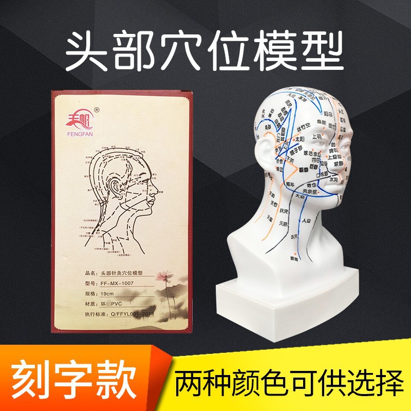 Transparent mannequin head engraved