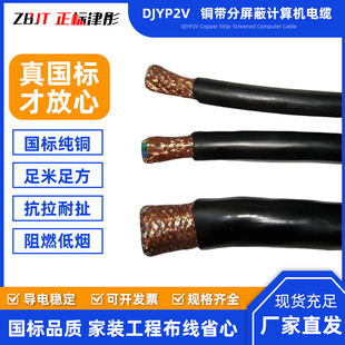 DJYP2V Ӌ��C��| 300/500V�~���������Կ؃x���Ɍ���̖��ݔ���|