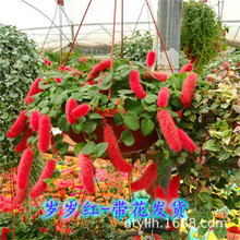 �t�t���m �q�q�t�������Թ�β�t�ڼt���m �tɫ���m�������ܻ��ھ�