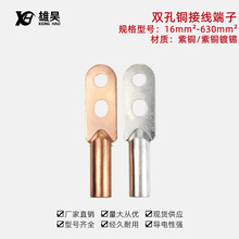 双孔铜鼻子 铜接头铜线鼻线耳双眼16-630平方电缆接头紫铜接线端