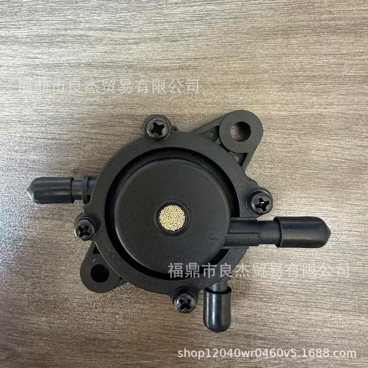 Bailitong fuel pump is suitable for motorcycles, ATVs, and go-karts; it is a universal engine model, 127-9206