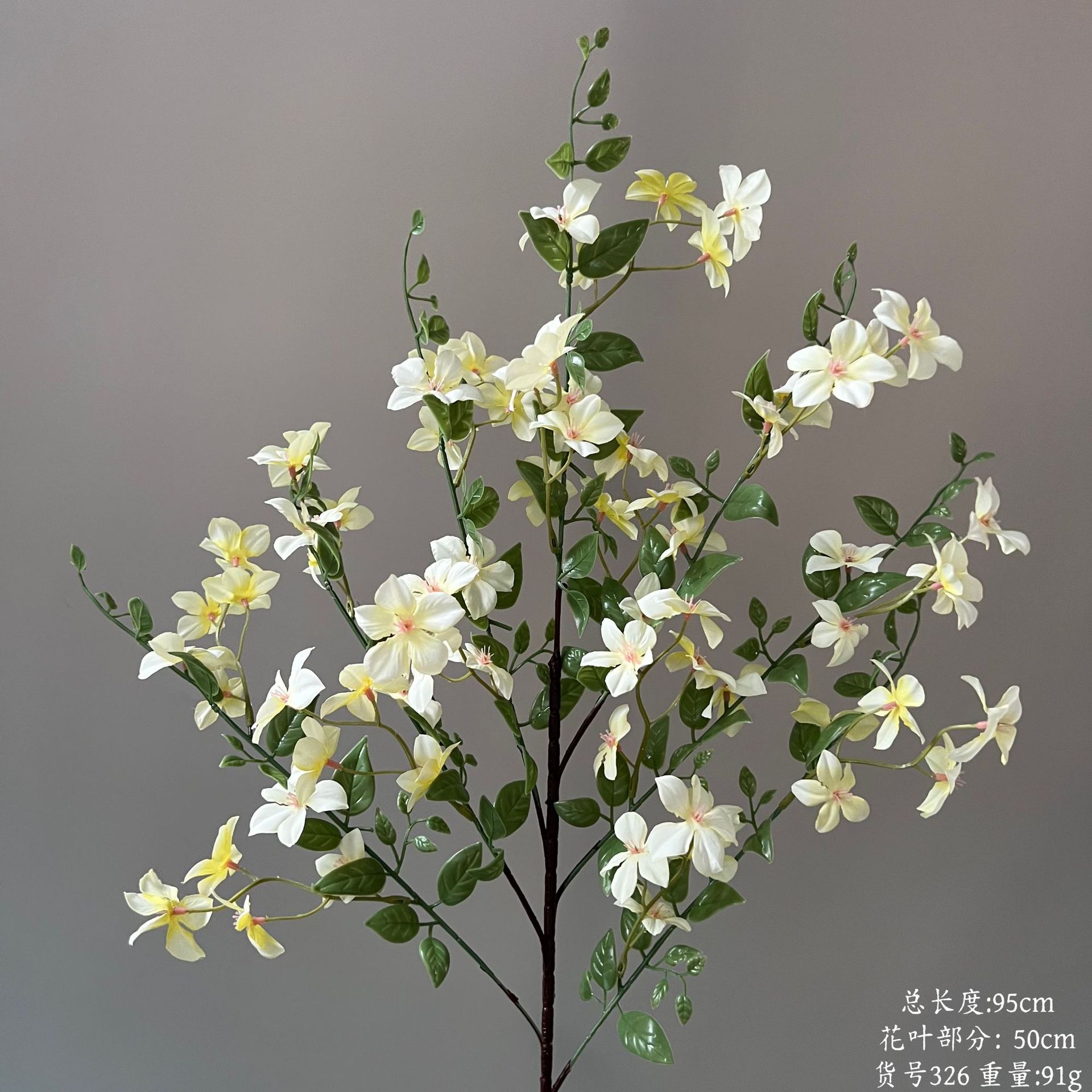 품목 번호 326-Qilixiang