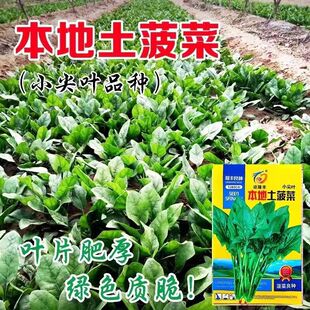 С���~�����˷N�ӏV�|�͟��ЙC�GɫС�~���˷N�Ӳ������ļ��߲���