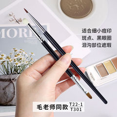 The T22 Fine Camouflage Brush T301 with Double-Ended Sponge Spot Brush, Dark Circles Eye Liner Brush, and Tear Trough Brush, just like Teacher Mao's.