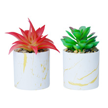 新款陶瓷多肉花外贸跨境亚马逊北欧简约大理石纹盆景仿真植物盆栽