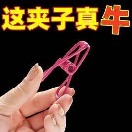 多用途优质彩色收纳夹子内衣内裤毛巾强力弹簧晒衣防风夹10个装