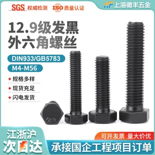 12.9���ߏ��Ȱ����l�������^�ݽzDIN931GB5782��������˨M42-M56