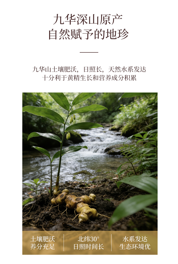 Huang Jing Fruit Nine Times Steamed and Sun Dried Polygonatum Tea Grade 500g Loose Pack preparation
