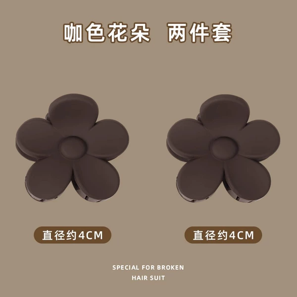 2 34# dark brown flowers