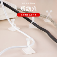 �G�}���������Gֲ�̶������ßo�������A���������G֦���͒��h���l