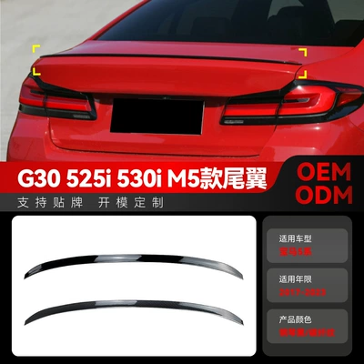 Fixed wind wing 5 series g 30 525I