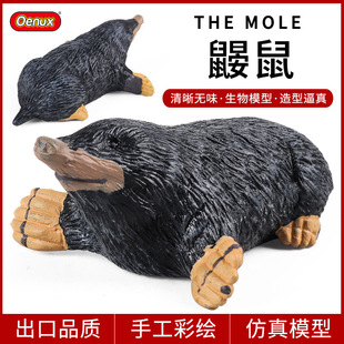 ��ͯ���挍�Ą������ģ�� �B�� �������[������J֪�YƷ�ҾӔ[��