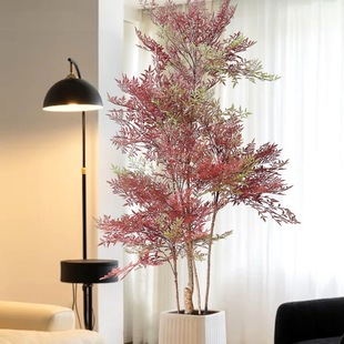 �Gֲ�������ҿ͏d�p���b[�������Gɫֲ���������