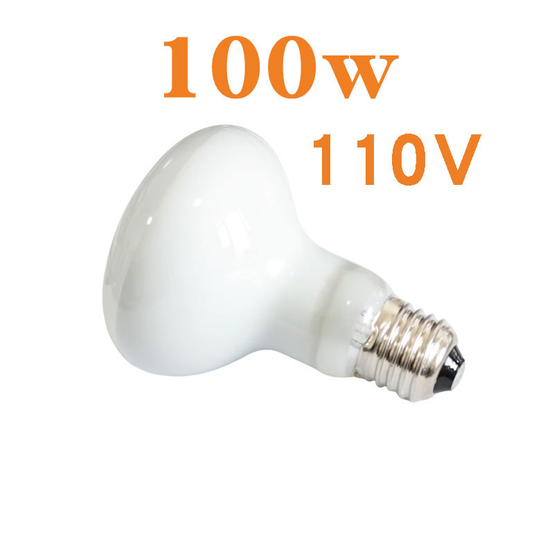 R80 열대우림 일광 램프 110V 100w