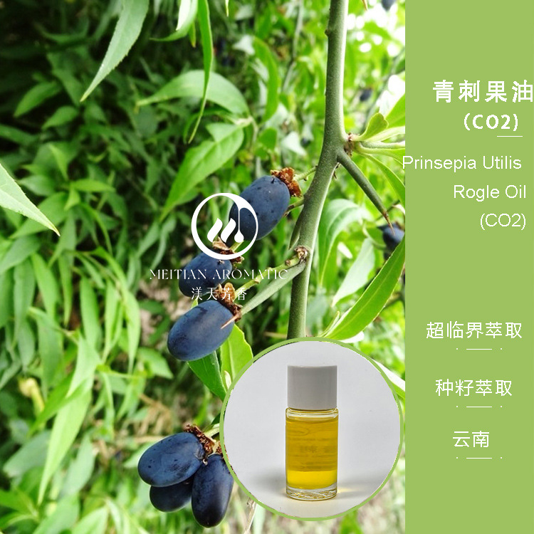 青刺果油超临界CO2萃取·云南 植物油基础油 按摩护肤用油