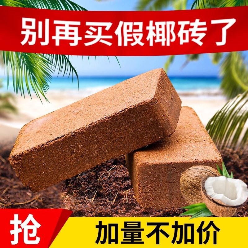 Coconut Brick Nutrient Soil for Growing Vegetables, General-Purpose Desalted Coconut Bran Large Brick Soil for Home Gardening, Flower Cultivation Soil, Planting Soil Coconut Brick Nutrient Soil for Growing Vegetables, General-Purpose Desalted Coconut Bran Large Brick Soil for Home Gardening, Flower Cultivation Soil, Planting Soil