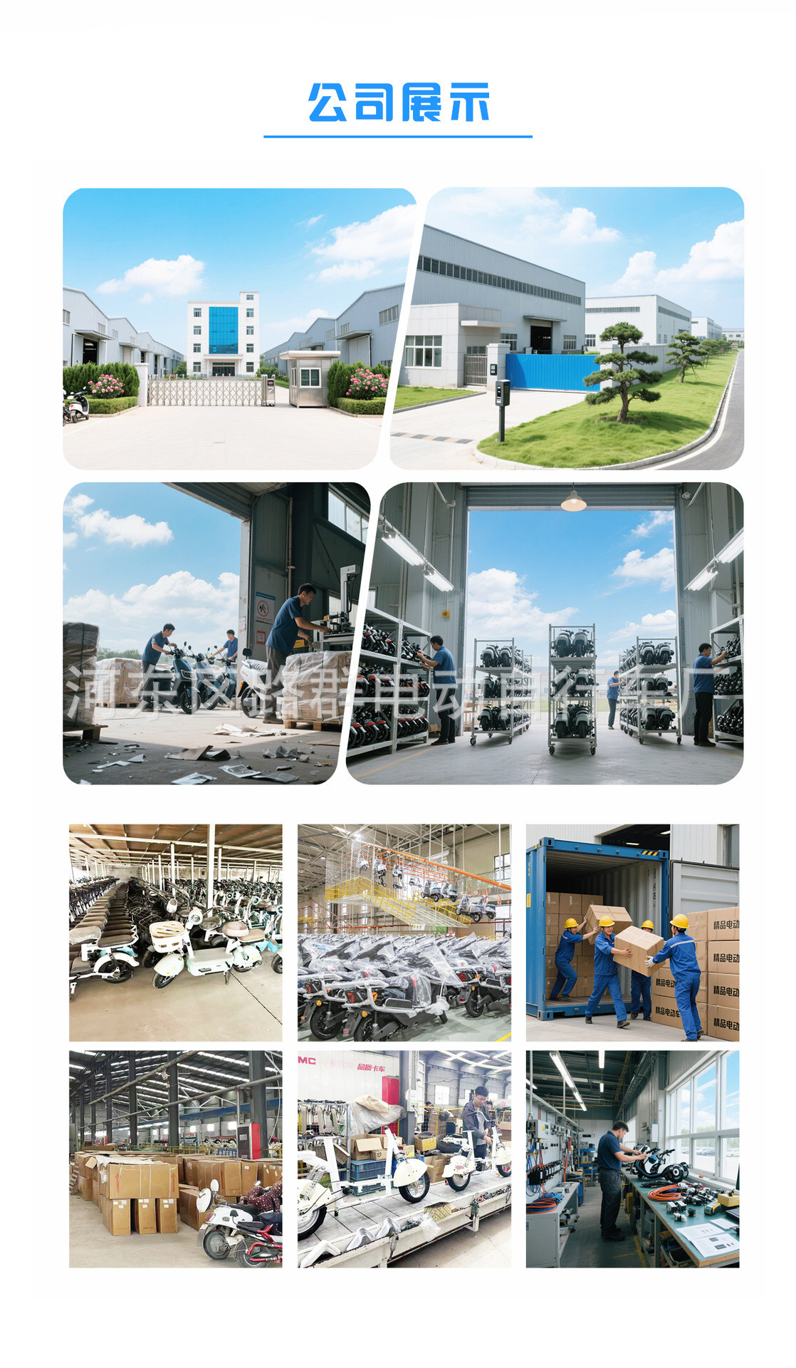 Factory Adult Electric Bicycle, Small Electric Motorcycle, Long-Distance Riding King, Mini Taxi, Electric Vehicle, Mini Portable