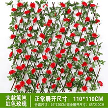 ������~�Ӡ��滨����sľ�ř�ͥԺ�̨����ڗU�o�ڻ��@�h�ʇ���