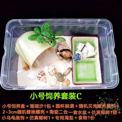 [小号套装C       （送一只小蟹）]