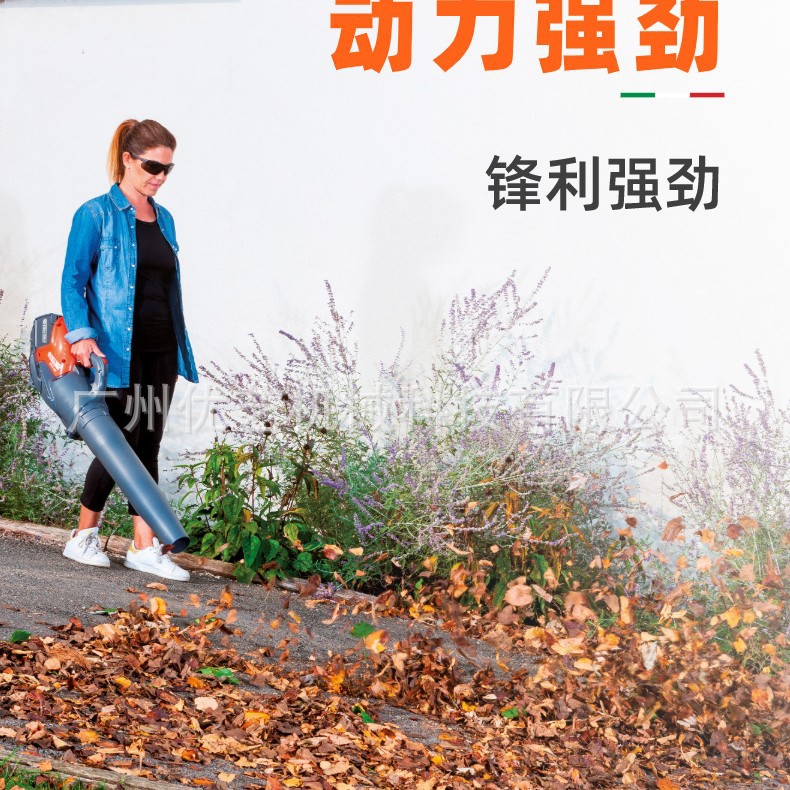 意大利欧玛原装进口锂电别墅吹风机BVi60吹风机鼓风机庭院