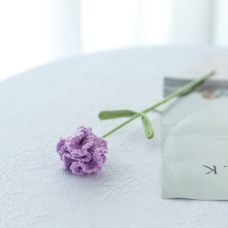 완성 된 라이트 퍼플 카네이션 단일 잎 무작위