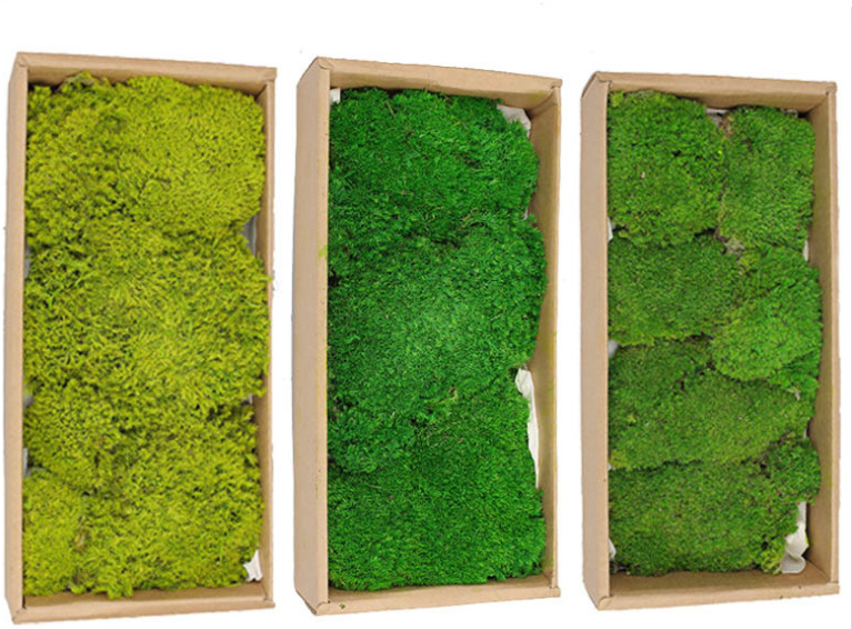 微信截图_20230718170641