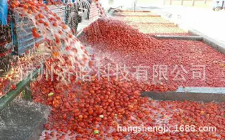 番茄酱生产线,番茄浓缩汁设备,番茄NFC鲜汁饮料加工流水线装置