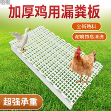 鸡用漏粪板家禽兔子塑料脚垫漏粪养鸭鹅鸡鸽子漏屎板地垫鸡舍地板