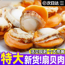 鱼类;虾类;贝类