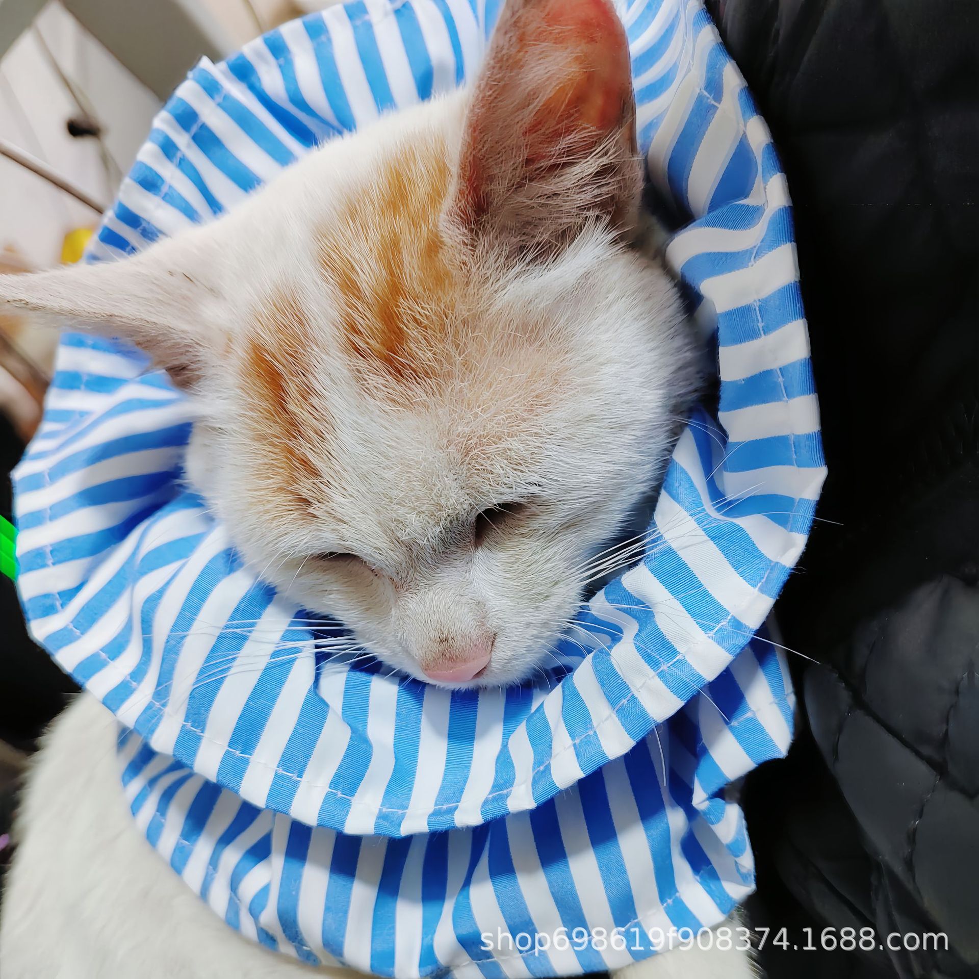 Nuevo transfronterizo japonés y coreano suministros para mascotas Elizabeth anillo collar esterilización repelente de insectos anti-lamer gato perro bufanda