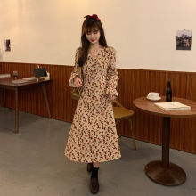 �����¿�2025�ް��OӋ���黨���������B��ȹС���������|�^ϥȹ��