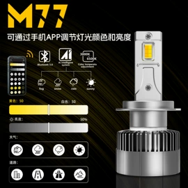 大灯、前照灯;其他车灯;雾灯